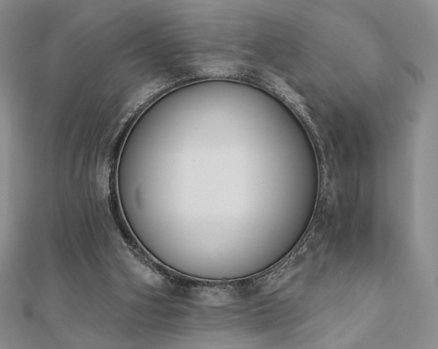 X0000110900106200906181330
