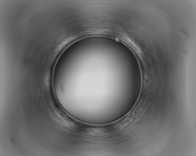 X0000110900107200906181330