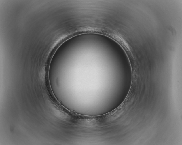 X0000110900108200906181330
