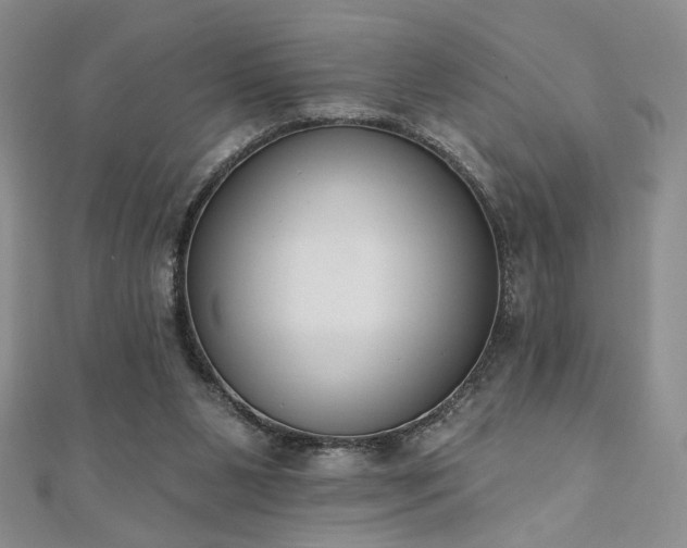 X0000110900111200906181330