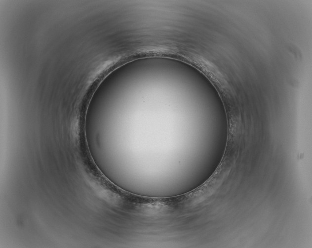 X0000110900112200906181330