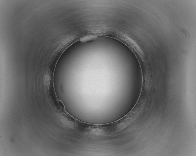 X0000110900113200906181330