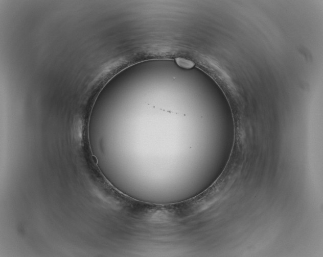 X0000110900115200906181330