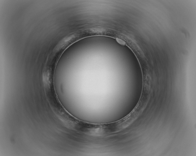 X0000110900116200906181330