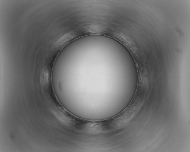 X0000110900117200906181330