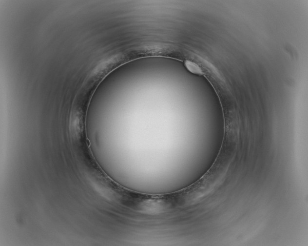 X0000110900119200906181330