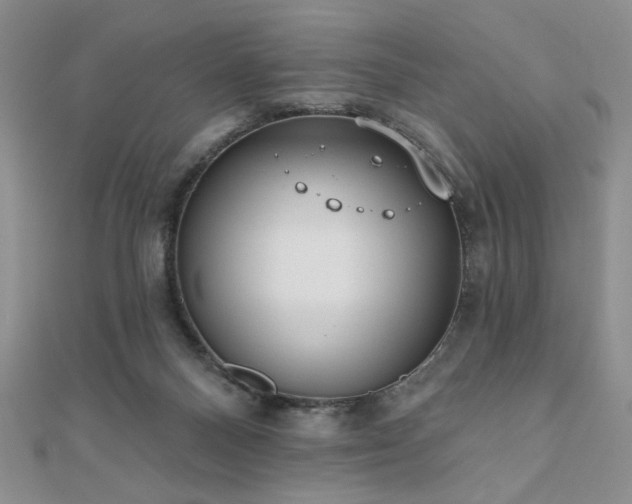 X0000110900120200906181330
