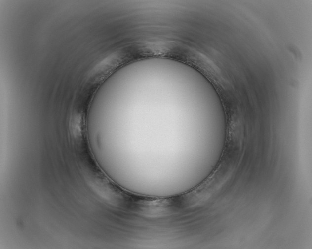 X0000110900122200906181330