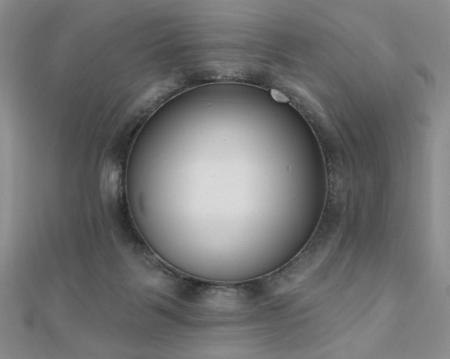 X0000110900123200906181330