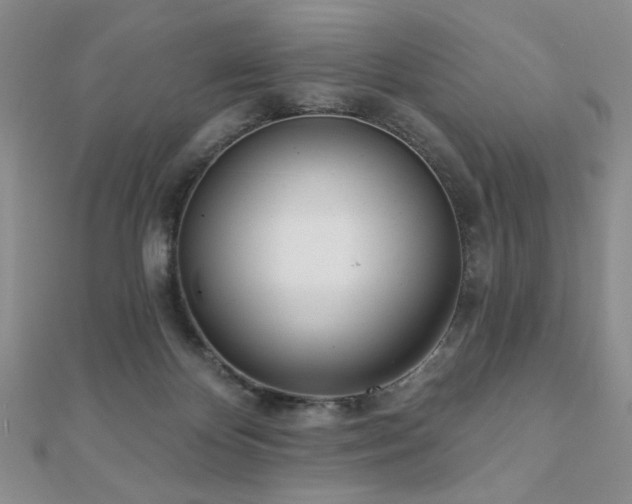 X0000110900124200906181330
