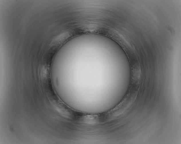 X0000110900126200906181330