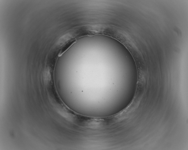 X0000110900128200906181330