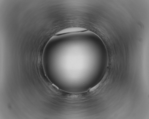 X0000110900129200906181330