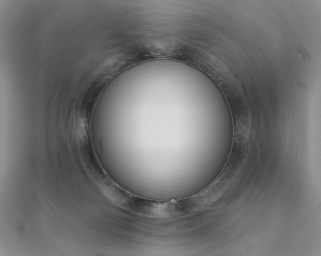 X0000110900130200906181330