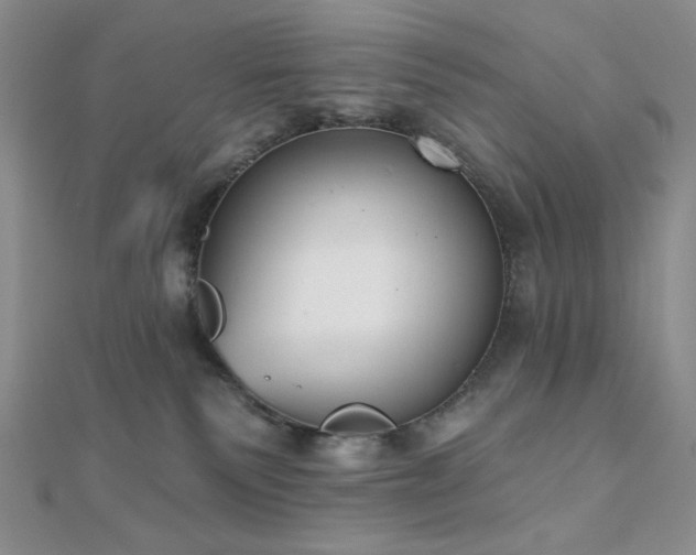 X0000110900135200906181330