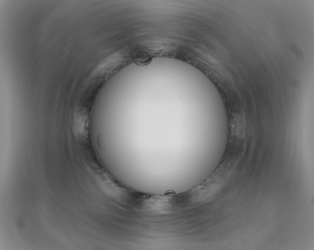 X0000110900138200906181330