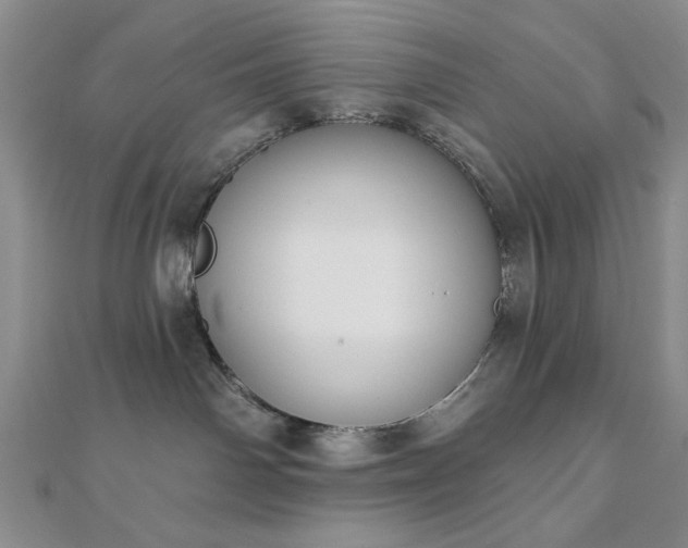 X0000110900142200906181330