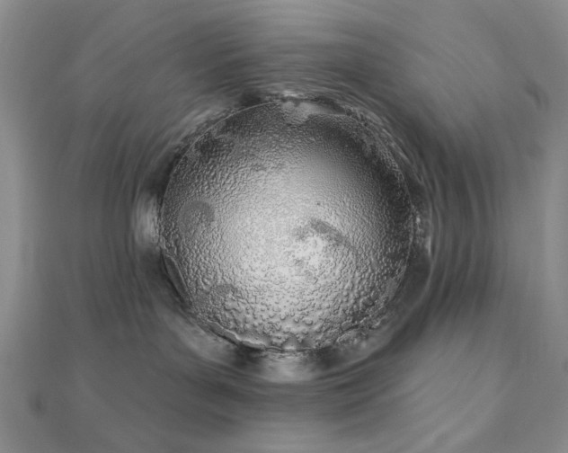 X0000110900143200906181330