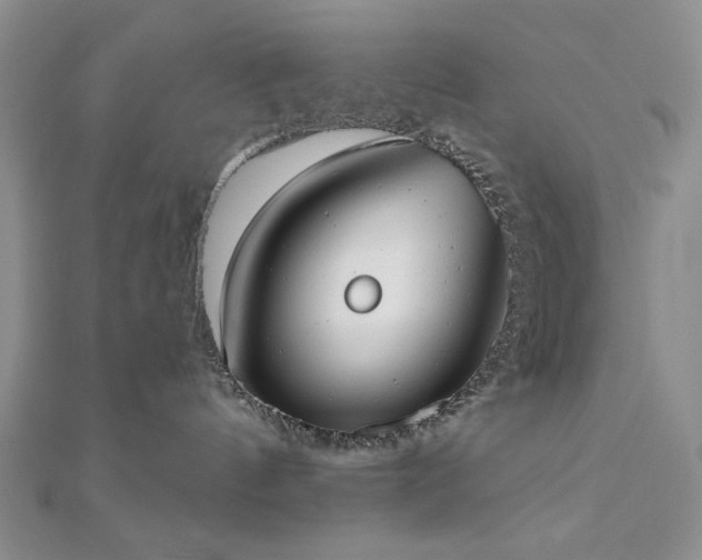 X0000110900144200906181330