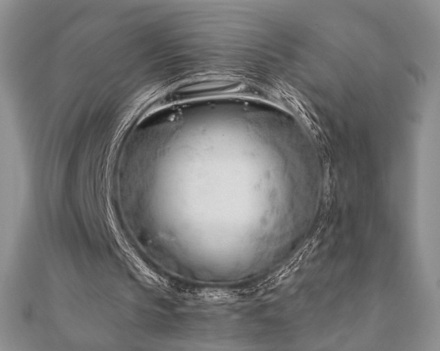 X0000110900145200906181329
