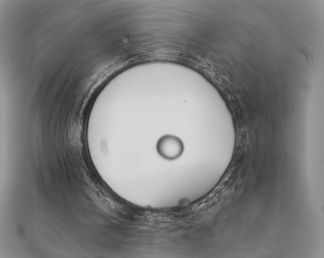 X0000110900146200906181329