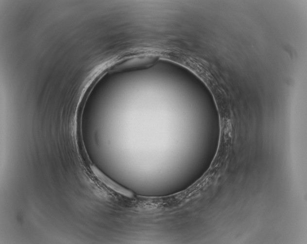 X0000110900148200906181329