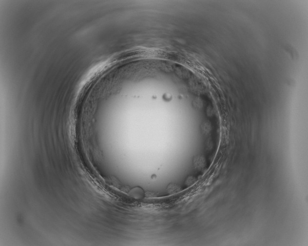 X0000110900149200906181329