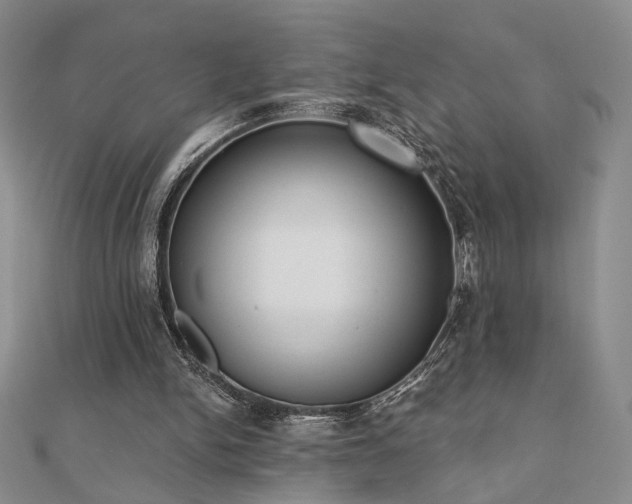 X0000110900150200906181329