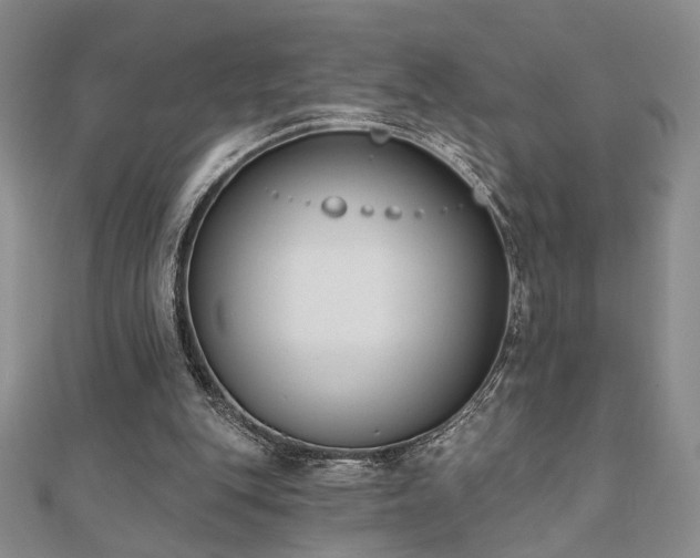 X0000110900151200906181329
