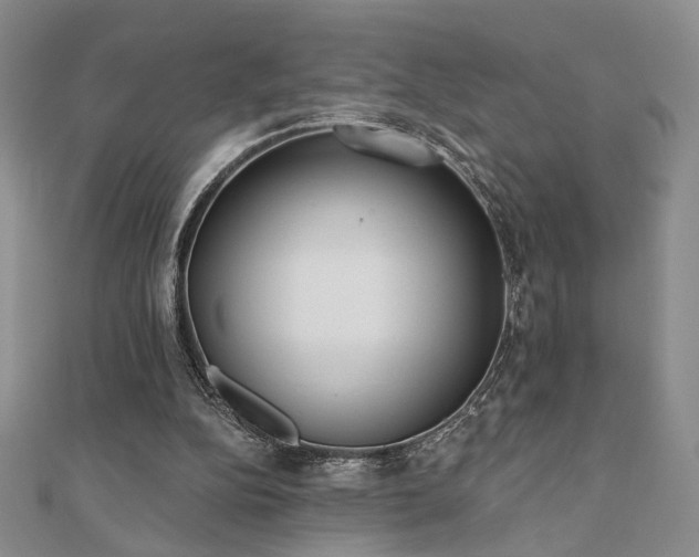 X0000110900152200906181329