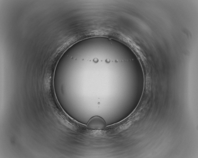 X0000110900153200906181329