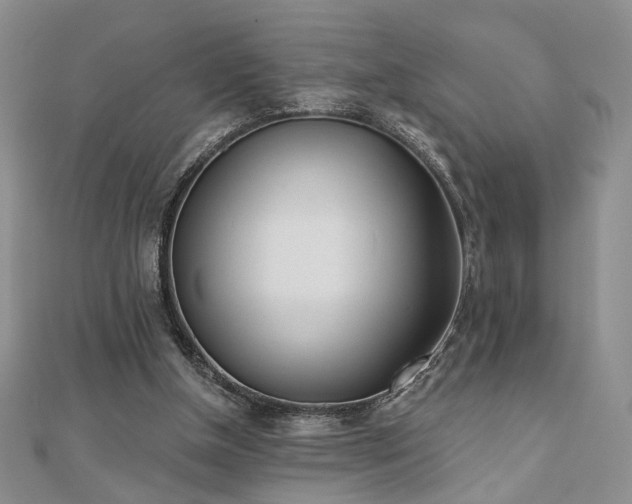 X0000110900154200906181329