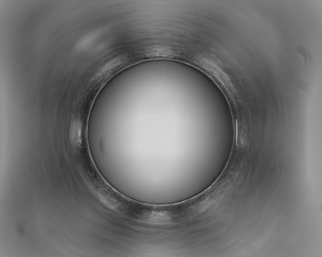 X0000110900157200906181330