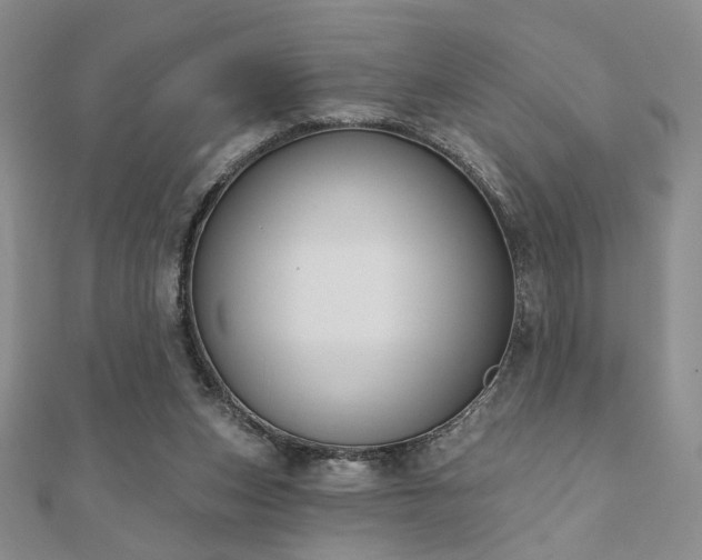 X0000110900159200906181330