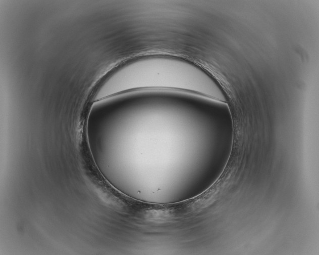 X0000110900160200906181330