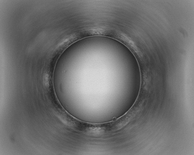 X0000110900161200906181330