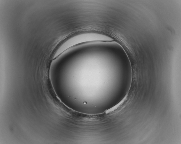 X0000110900164200906181330