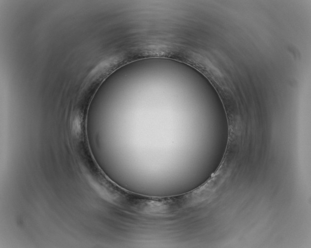 X0000110900166200906181330