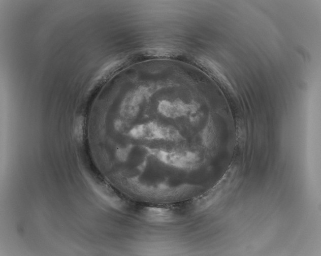 X0000110900167200906181330