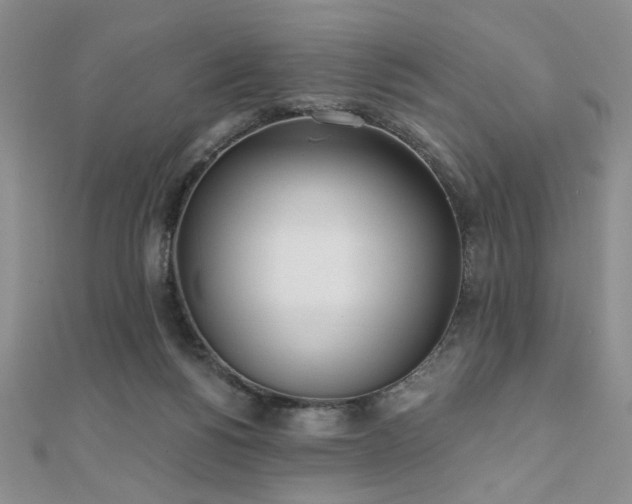 X0000110900168200906181330
