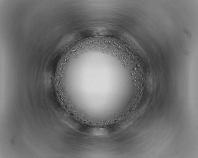 X0000110900169200906181330