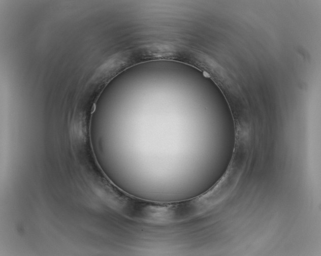 X0000110900170200906181330