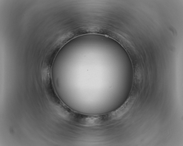 X0000110900172200906181330