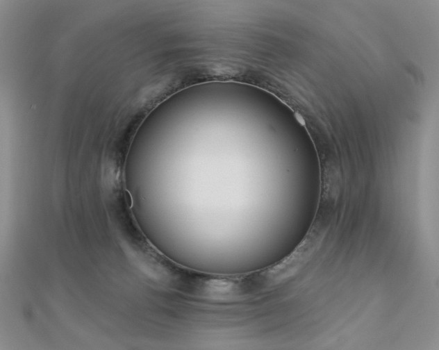 X0000110900176200906181330