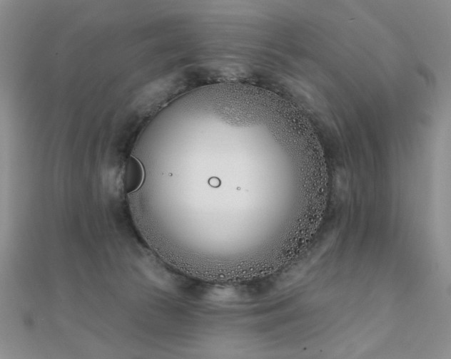 X0000110900177200906181330