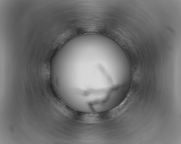 X0000110900179200906181330