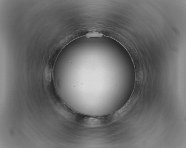 X0000110900180200906181330