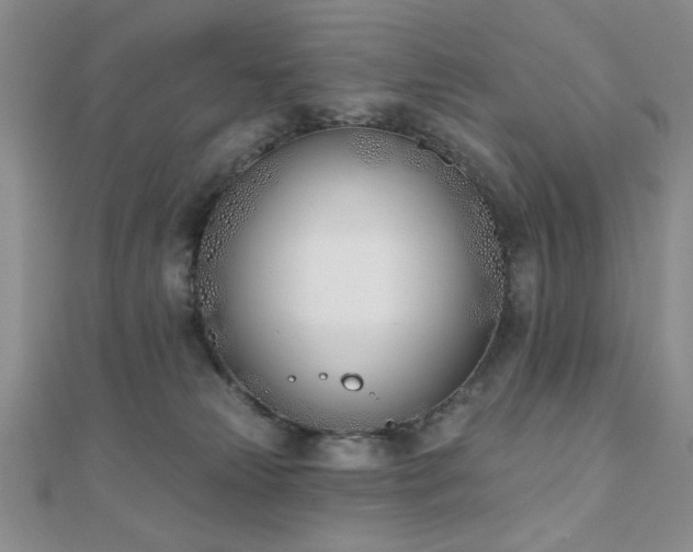 X0000110900181200906181330