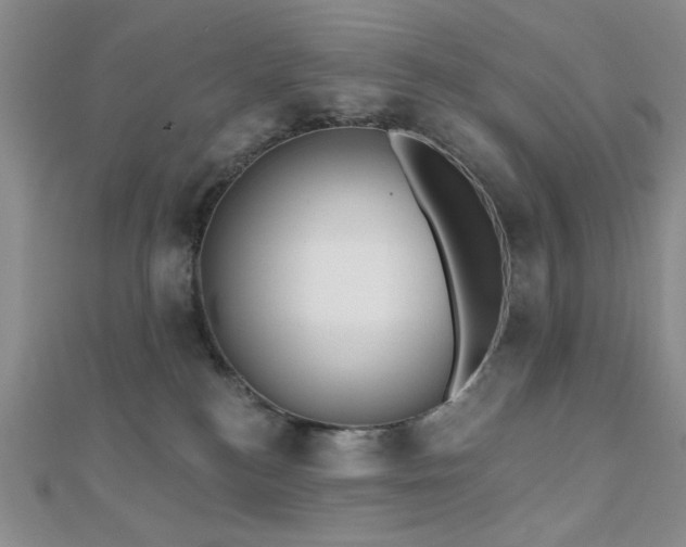 X0000110900184200906181330