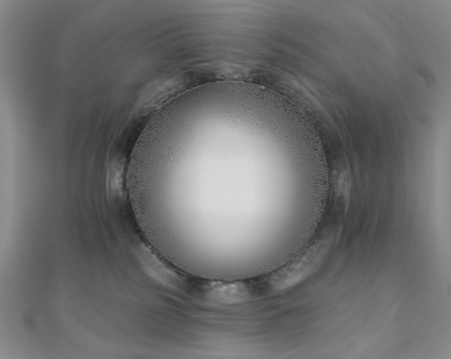 X0000110900185200906181330